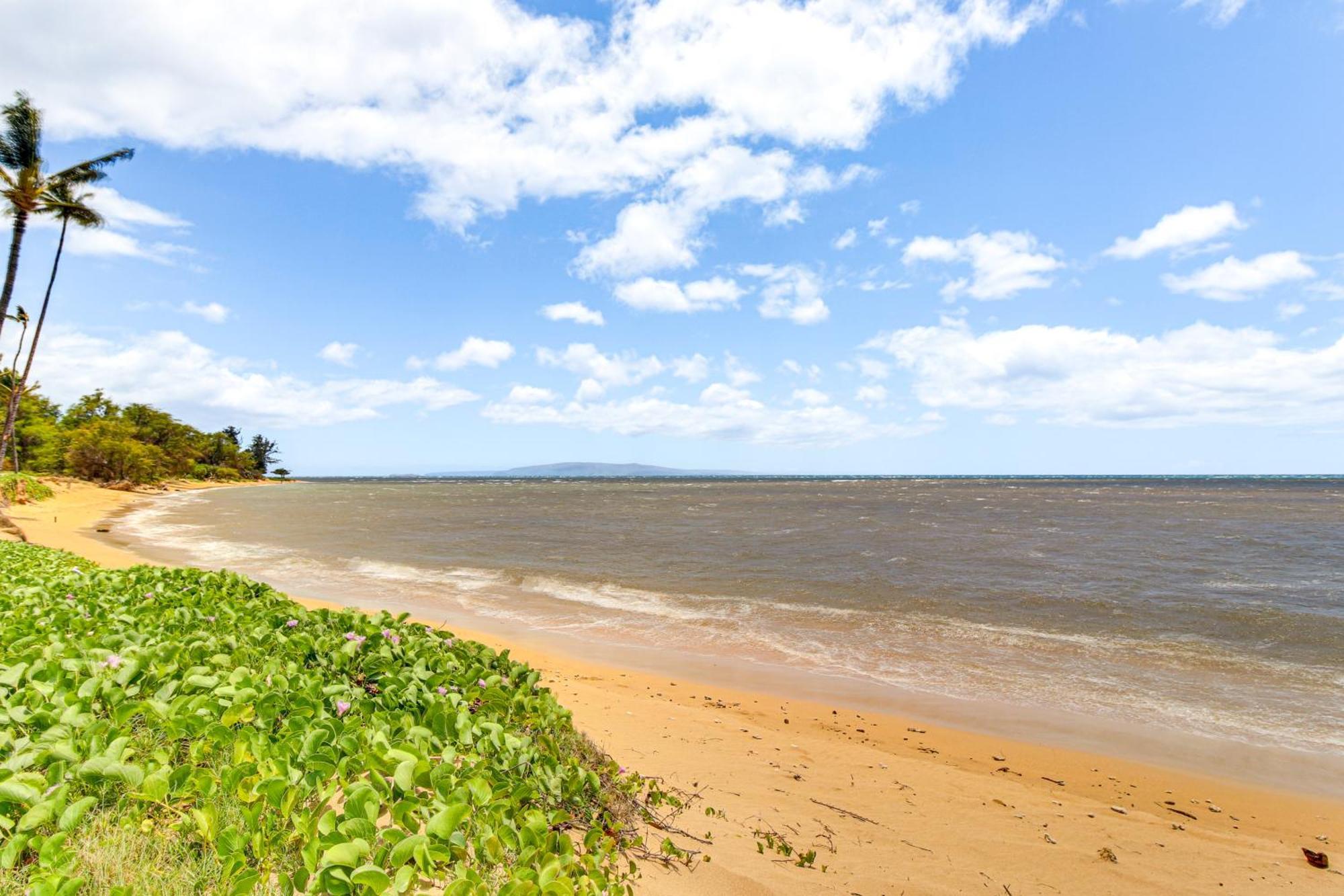 Gorgeous Oceanfront Condo With Spectacular Views! Кихей Экстерьер фото