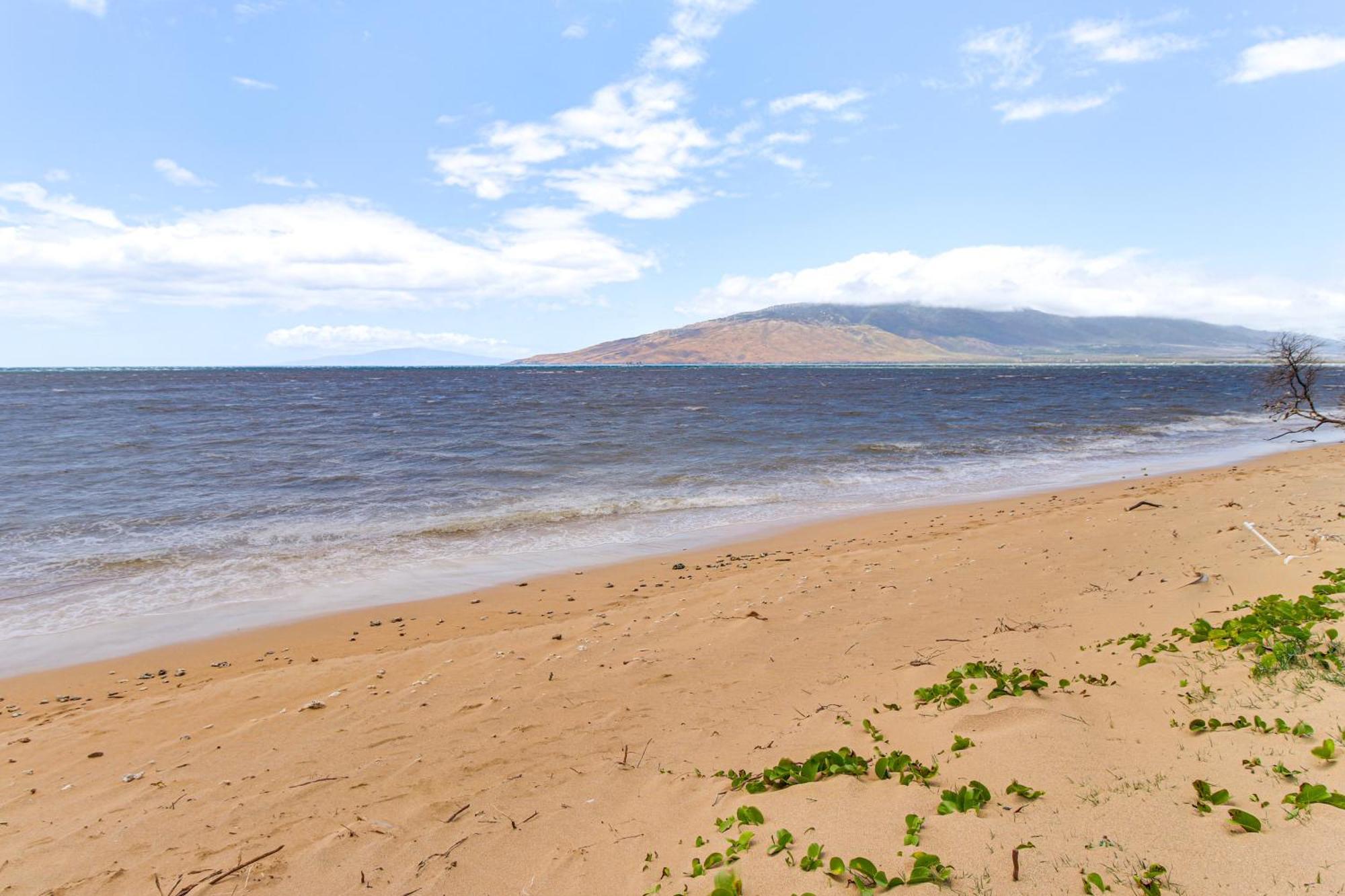 Gorgeous Oceanfront Condo With Spectacular Views! Кихей Экстерьер фото