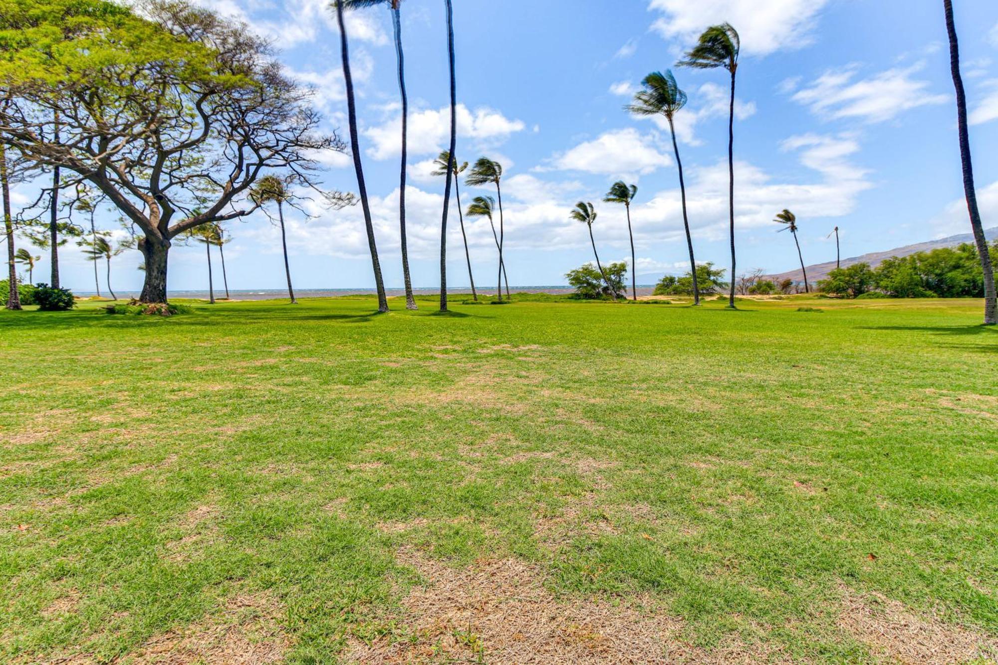 Gorgeous Oceanfront Condo With Spectacular Views! Кихей Экстерьер фото